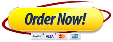 Order Now Using PayPal