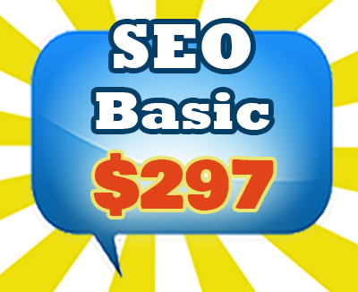 SEO Services BASIC Package
